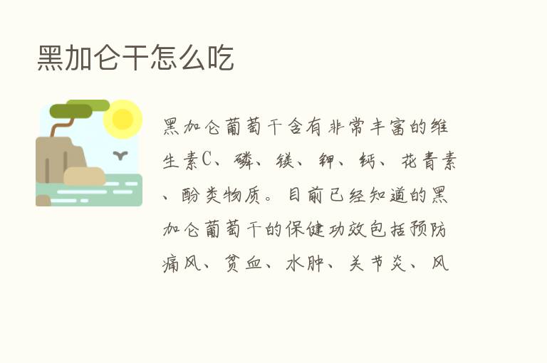 黑加仑干怎么吃