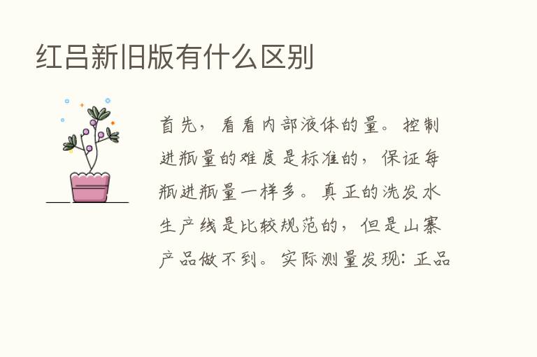 红吕新旧版有什么区别