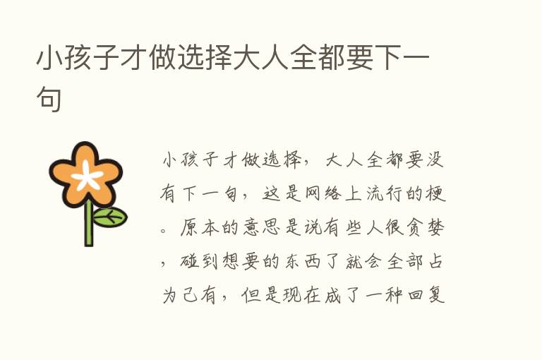 小孩子才做选择大人全都要下一句