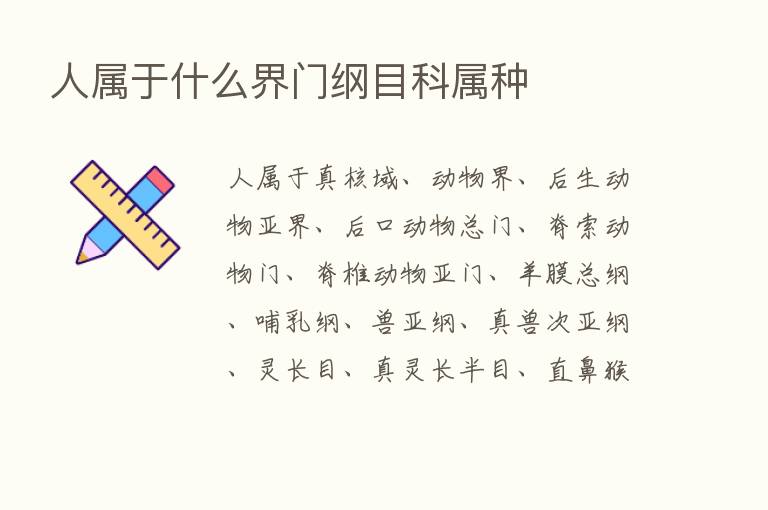 人属于什么界门纲目科属种