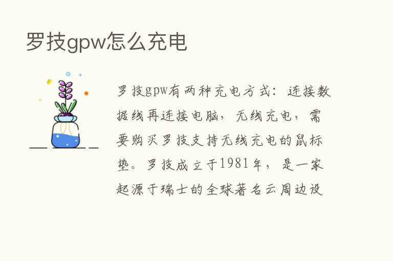 罗技gpw怎么充电