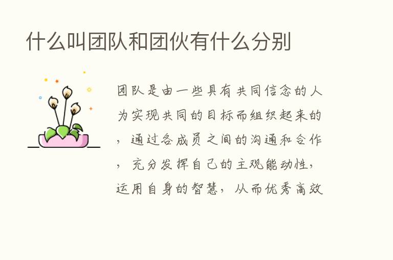 什么叫团队和团伙有什么分别