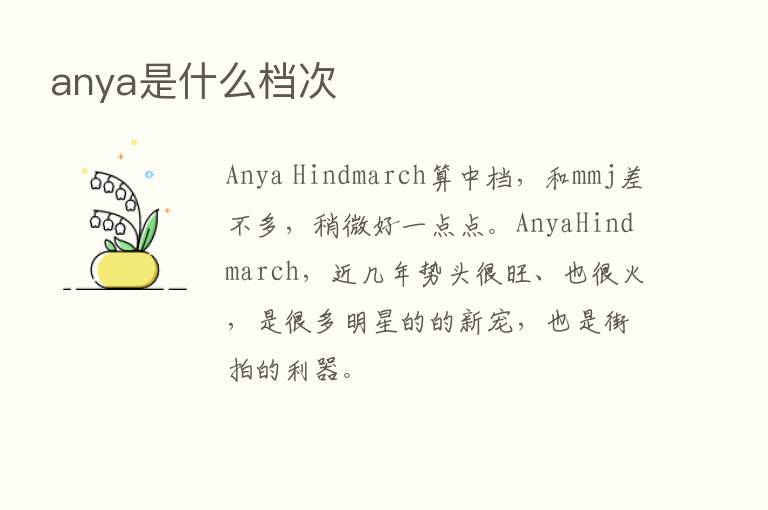 anya是什么档次