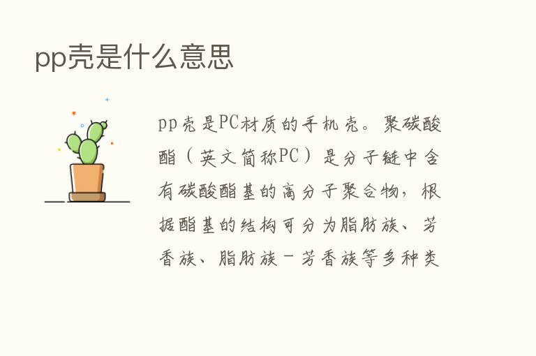 pp壳是什么意思