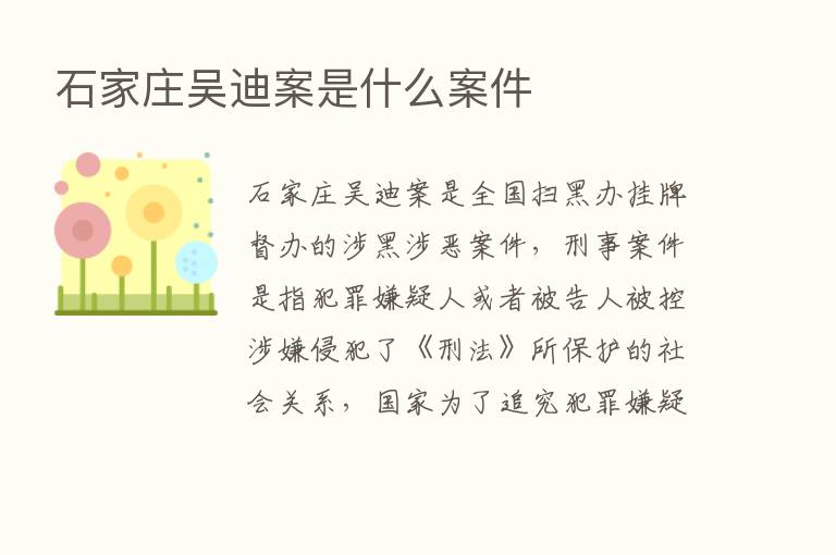 石家庄吴迪案是什么案件