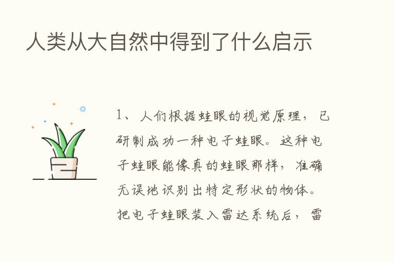 人类从大自然中得到了什么启示