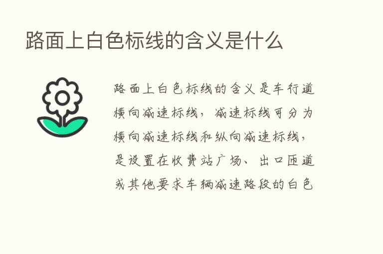 路面上白色标线的含义是什么