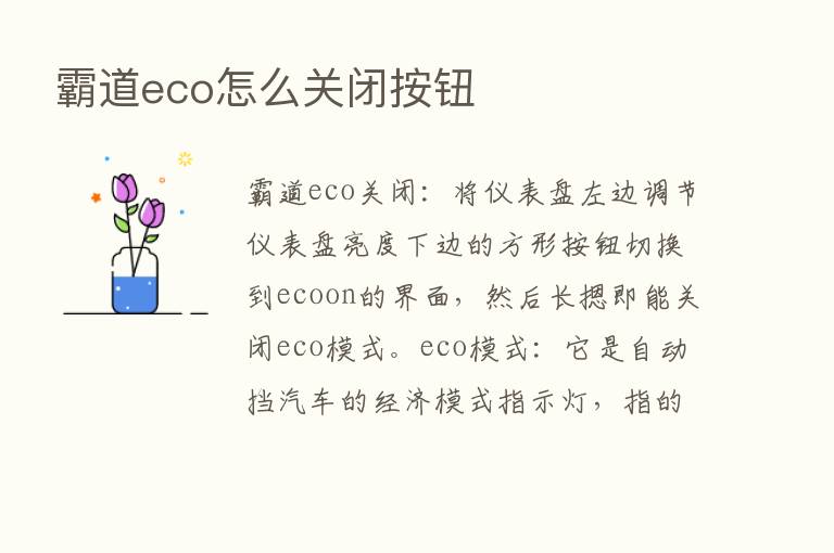 霸道eco怎么关闭按钮