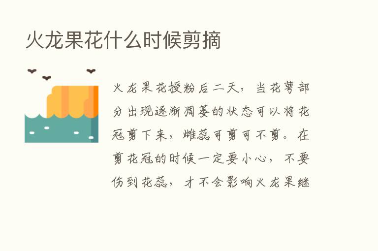 火龙果花什么时候剪摘