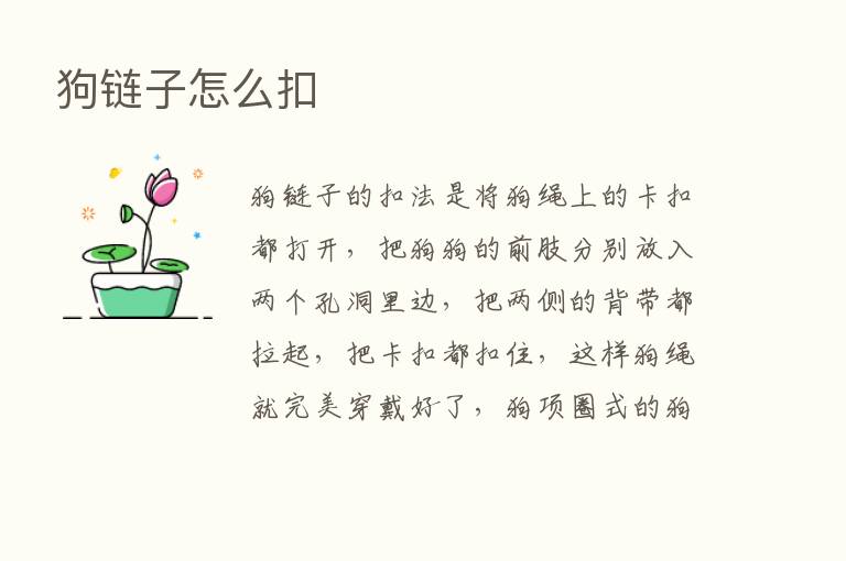 狗链子怎么扣