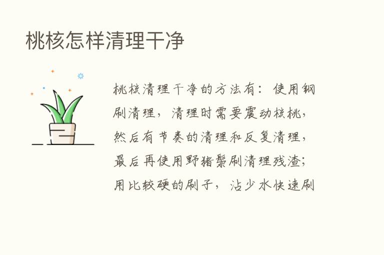 桃核怎样清理干净