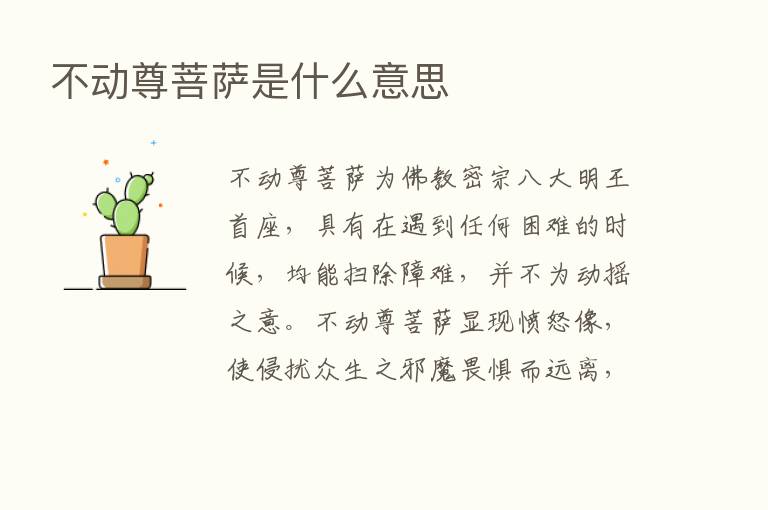 不动尊菩萨是什么意思