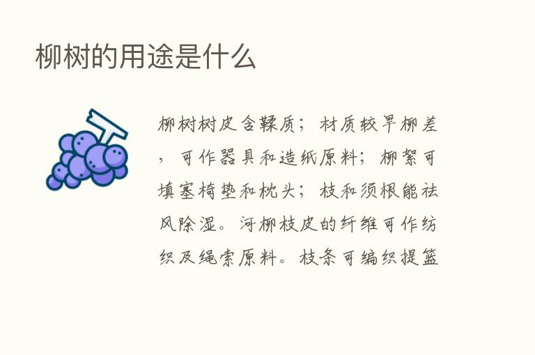 柳树的用途是什么