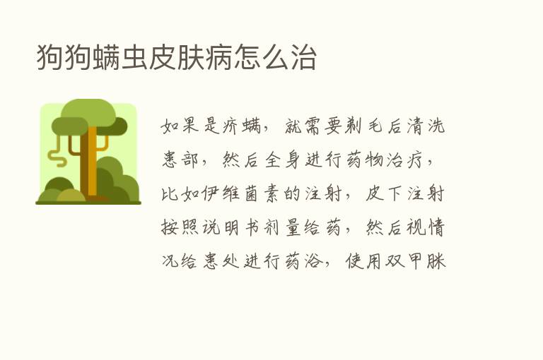 狗狗螨虫皮肤病怎么治