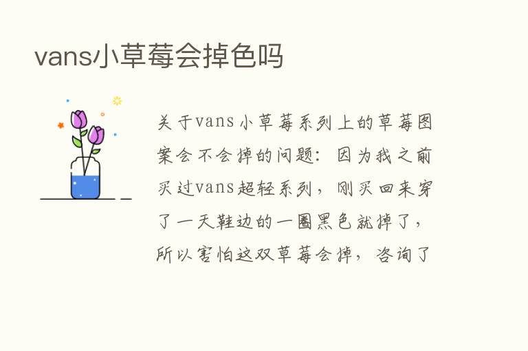 vans小草莓会掉色吗