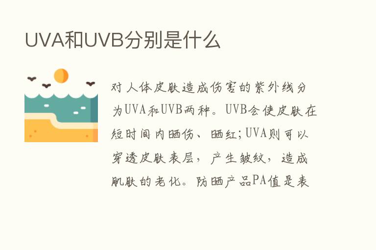 UVA和UVB分别是什么