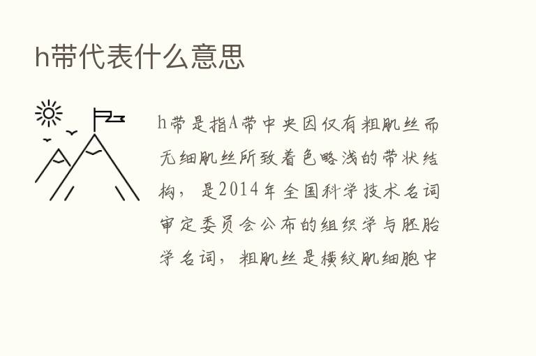 h带代表什么意思