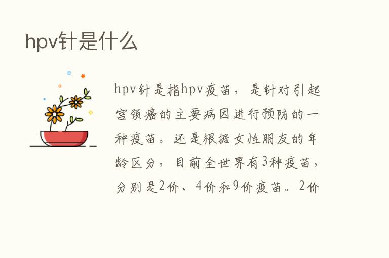 hpv针是什么