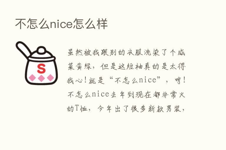 不怎么nice怎么样