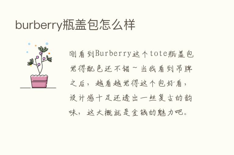 burberry瓶盖包怎么样