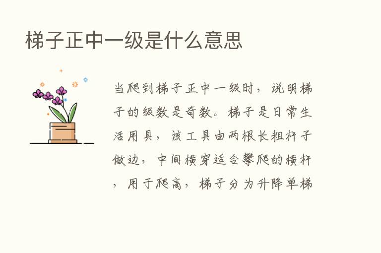 梯子正中一级是什么意思