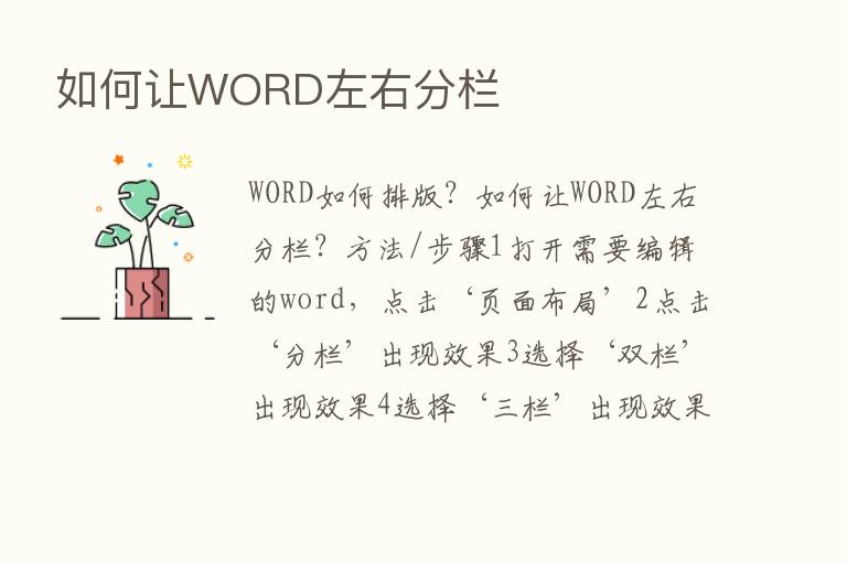 如何让WORD左右分栏