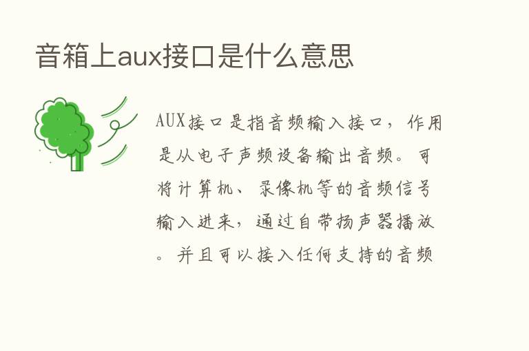 音箱上aux接口是什么意思