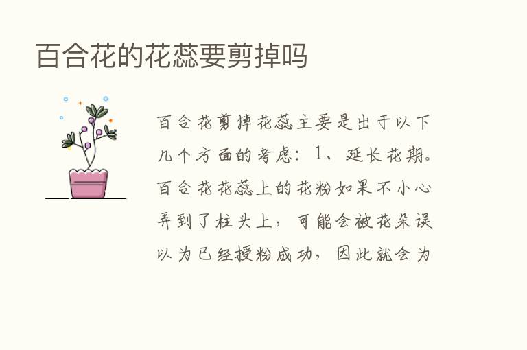 百合花的花蕊要剪掉吗