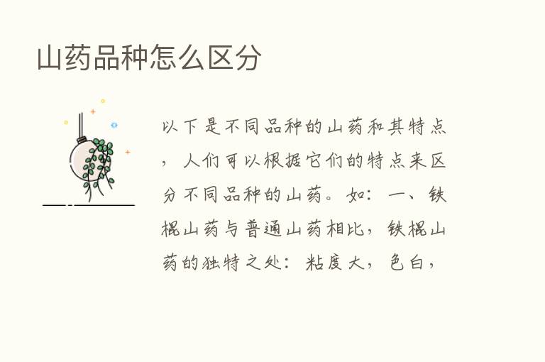 山药品种怎么区分