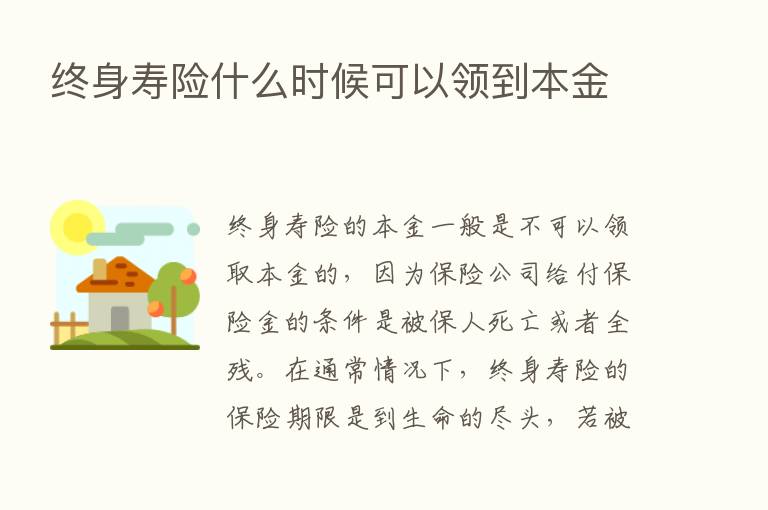 终身寿险什么时候可以领到本金