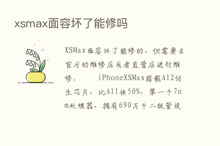 xsmax面容坏了能修吗