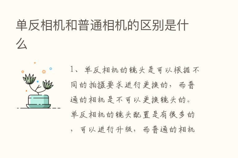 单反相机和普通相机的区别是什么