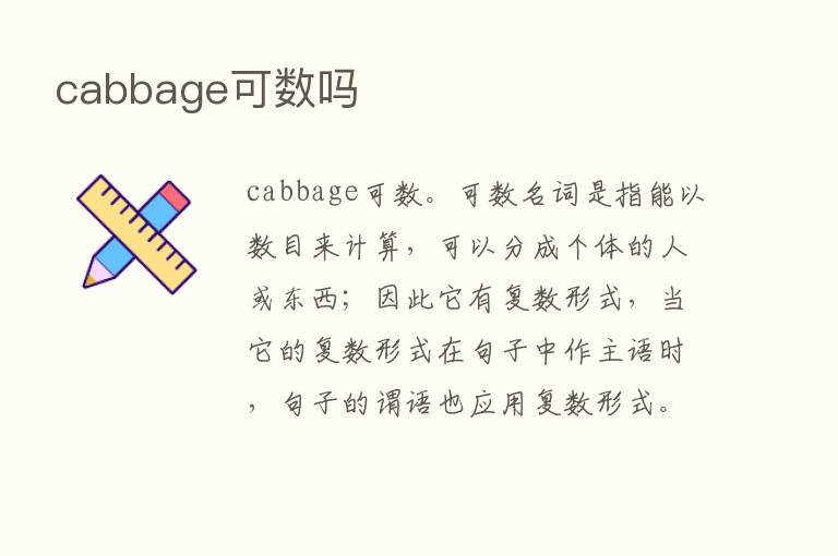 cabbage可数吗