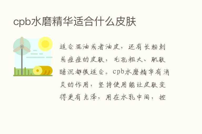 cpb水磨精华适合什么皮肤