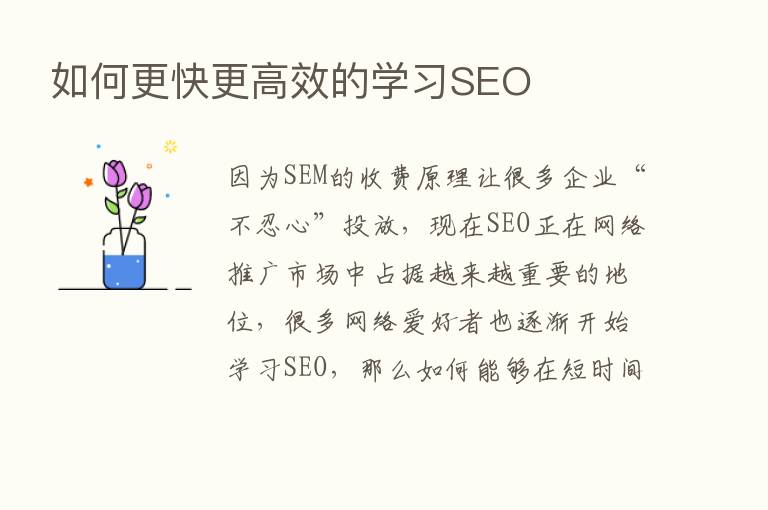 如何更快更高效的学习SEO