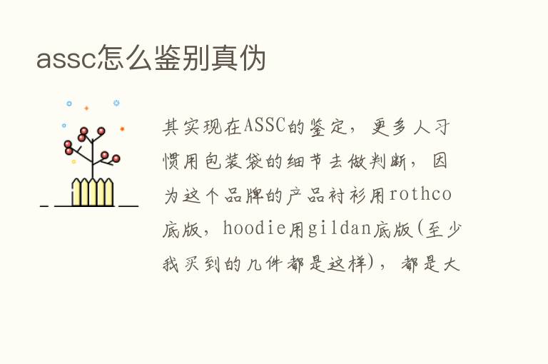 assc怎么鉴别真伪