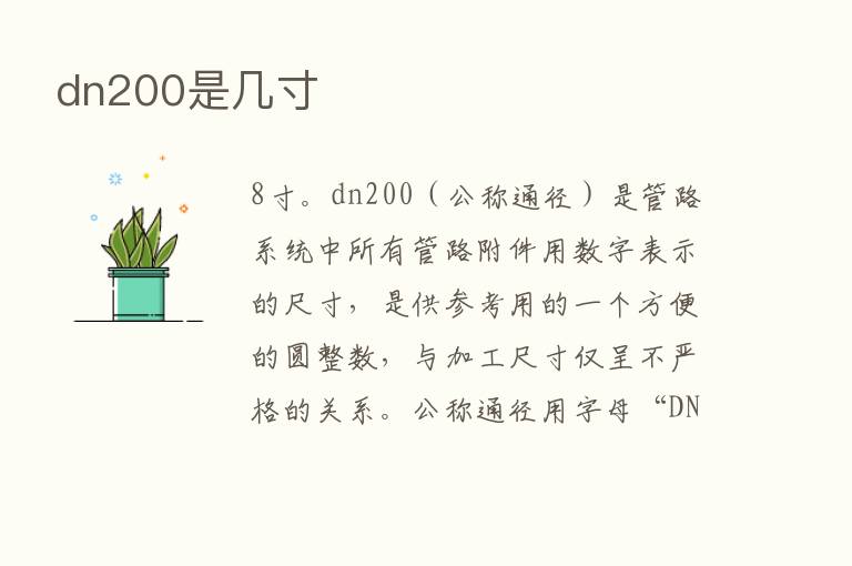 dn200是几寸