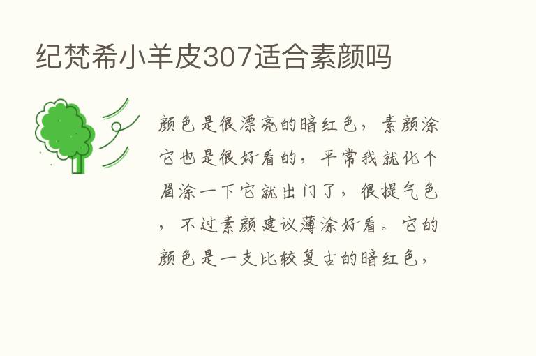 纪梵希小羊皮307适合素颜吗