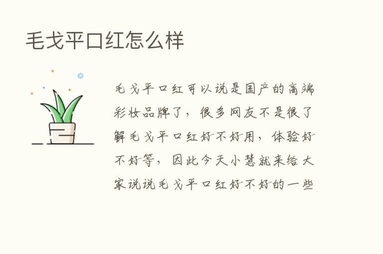 毛戈平口红怎么样