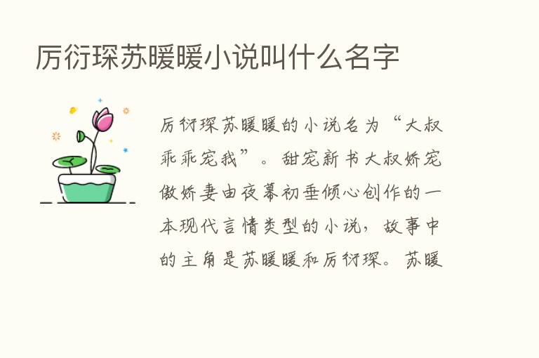 厉衍琛苏暖暖小说叫什么名字