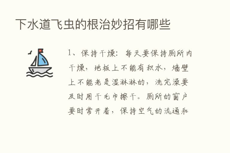 下水道飞虫的根治妙招有哪些