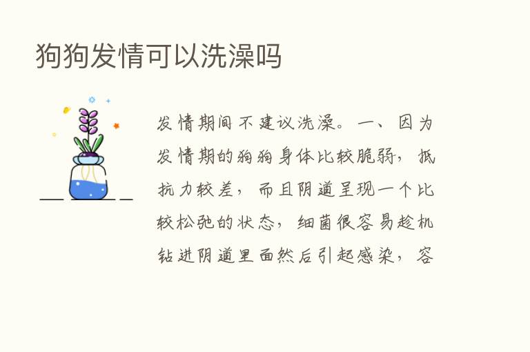 狗狗发情可以洗澡吗