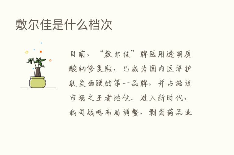 敷尔佳是什么档次