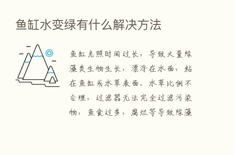 鱼缸水变绿有什么解决方法