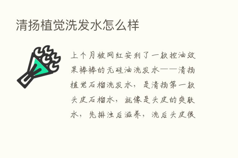 清扬植觉洗发水怎么样