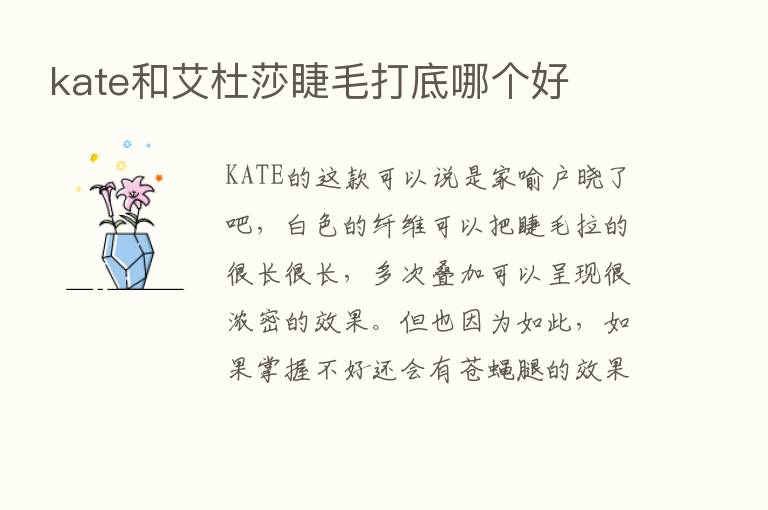 kate和艾杜莎睫毛打底哪个好