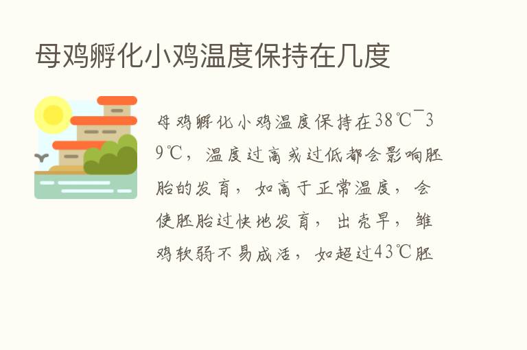 母鸡孵化小鸡温度保持在几度