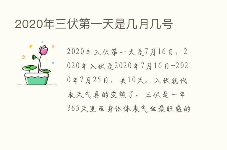 2020年三伏   一天是几月几号