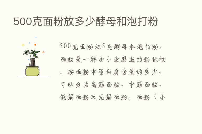 500克面粉放多少酵母和泡打粉