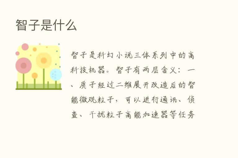 智子是什么